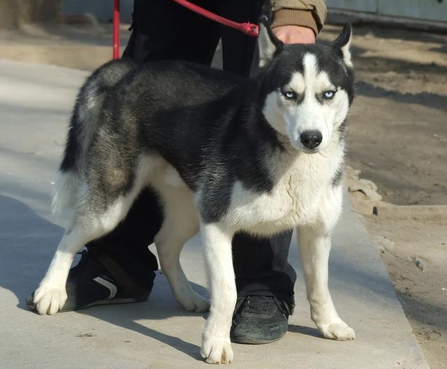 20221104163636_62197 20221104163636_62197