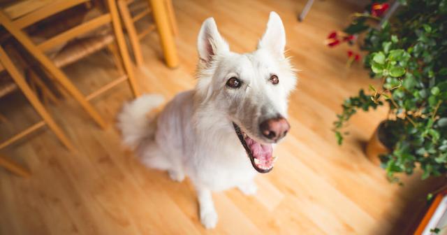 20221104163922_32431 20221104163922_32431