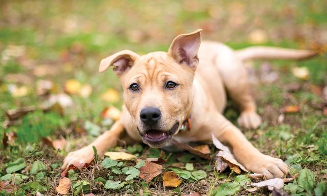 20221104163923_87657