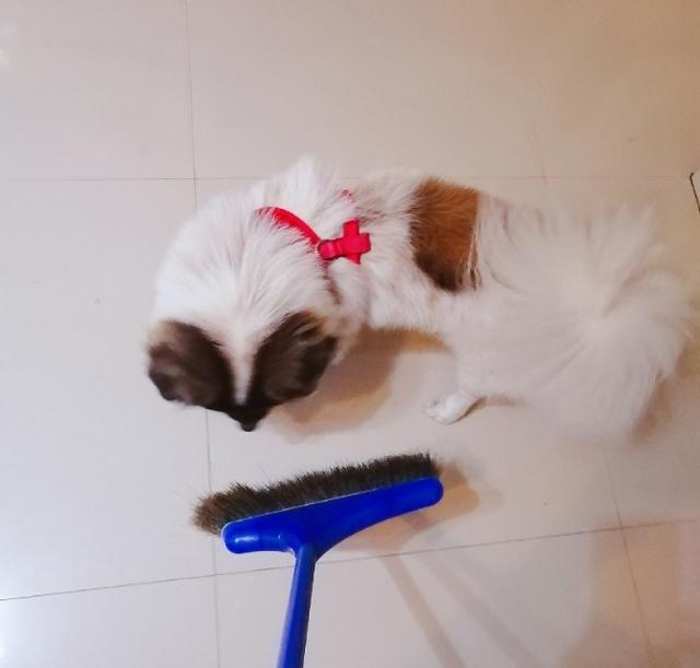 20221104165221_73666