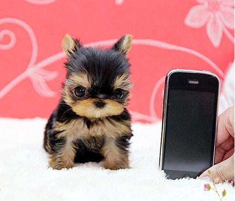 20221104165712_81250 20221104165712_81250