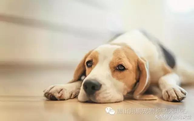 20221104170921_48546