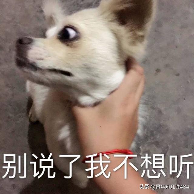 20221104173310_74965 20221104173310_74965