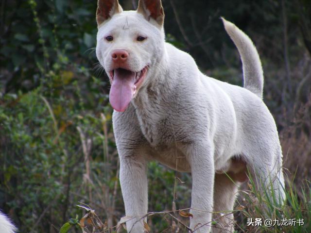 20221104185441_23059