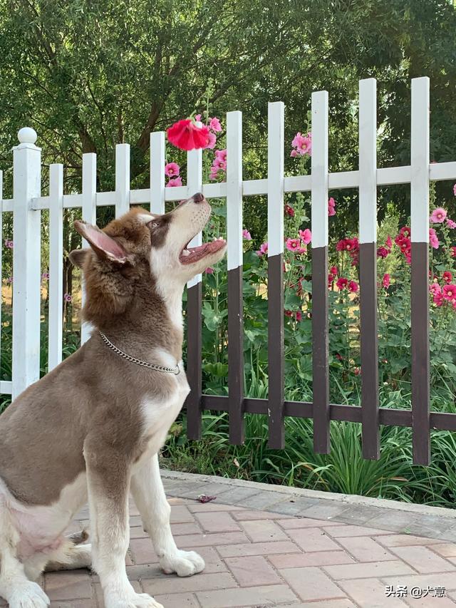 20221104185637_28968