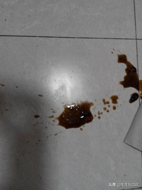 20221104185638_26637