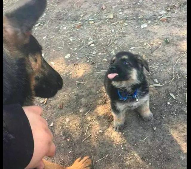 20221104190853_92202