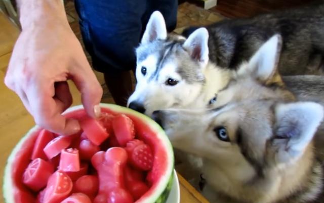 20221104194304_47373 20221104194304_47373