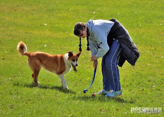 20221104195408_67573 20221104195408_67573