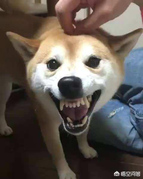 20221104195408_82463 20221104195408_82463