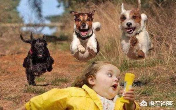 20221104195409_53616 20221104195409_53616