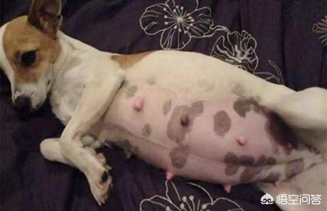 20221104195537_35346