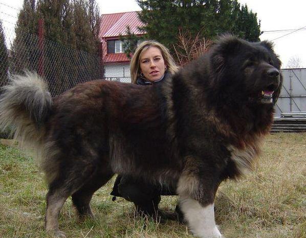 20221104204858_48717