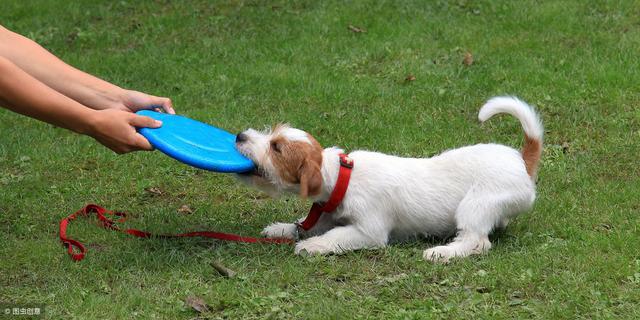 20221104211259_35648 20221104211259_35648