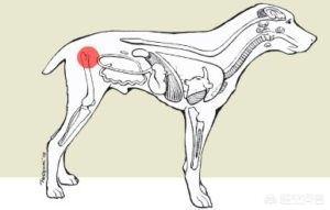 20221104211330_34490