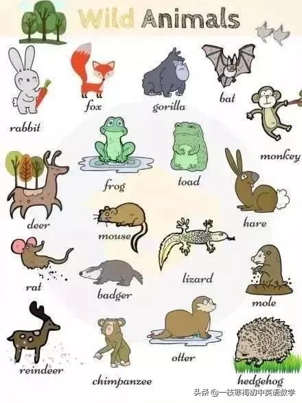 20221104212348_97094