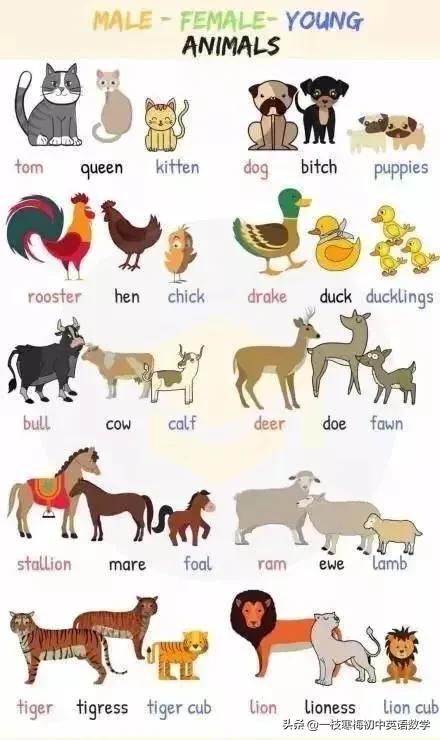 20221104212348_97552