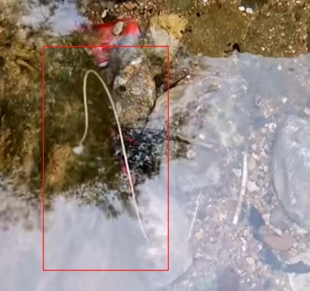 20221104212942_71890