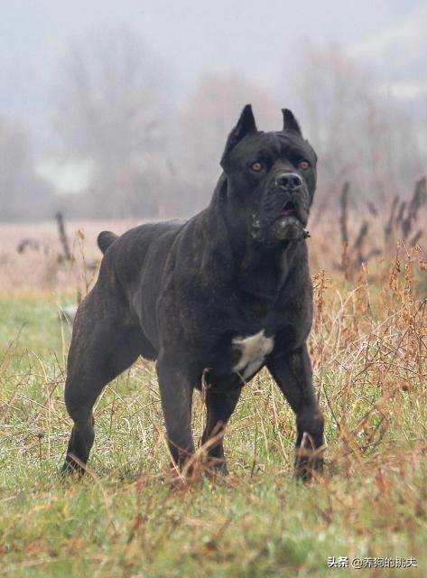 20221104212942_93340