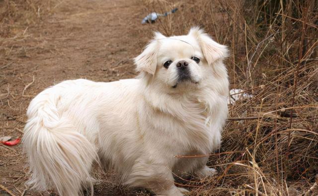 20221104213510_63806