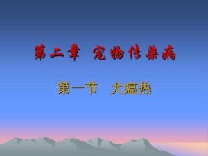 犬瘟热病毒来源犬瘟热到底是什么你搞懂了吗?-警犬训练器材厂家 _警犬训练用品_工作犬训练用品-南京开久警犬装备