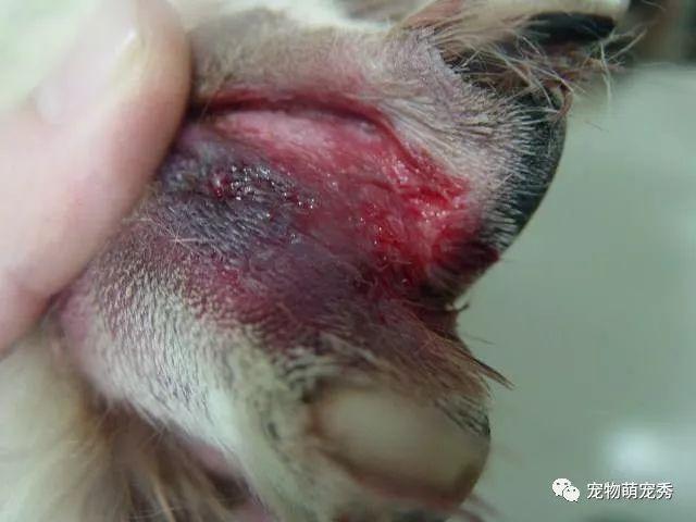 20221104220106_47690