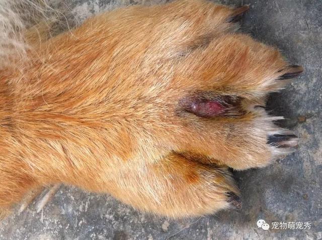 20221104220106_59510