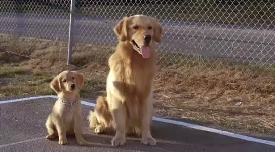 20221104220233_48835