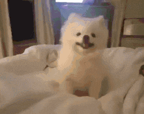 20221105083433_58216