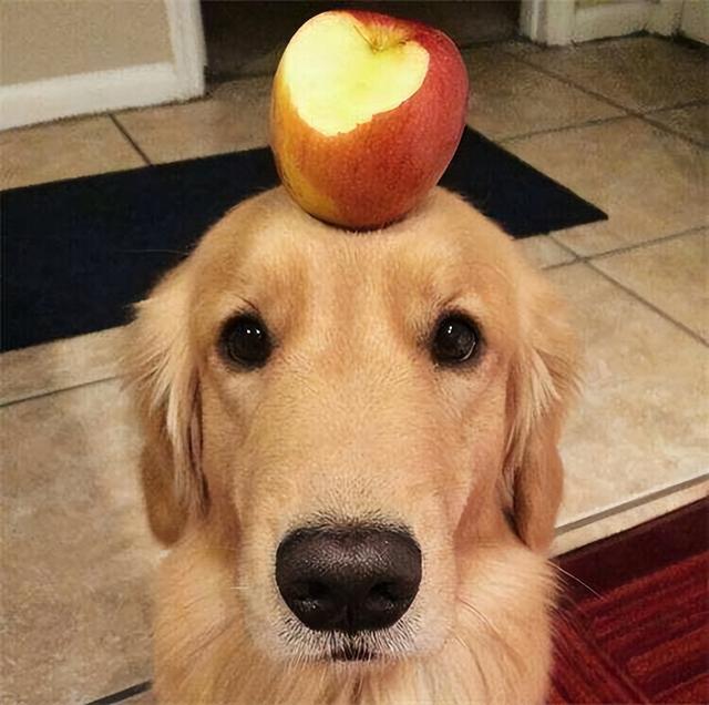 20221105084921_53510