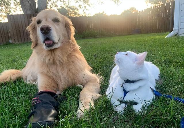 20221105084921_83461