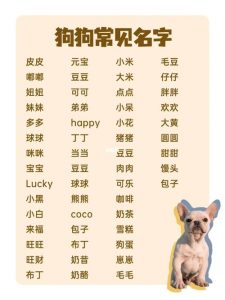 给狗起名字  给狗狗取名字霸气又拽-警犬训练器材厂家 _警犬训练用品_工作犬训练用品-南京开久警犬装备