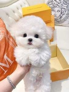 20221105085330_35154