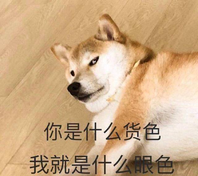 男人与母狗交(男人喜欢母狗为什么) - 警犬训练器材厂家 _警犬训练用品_工作犬训练用品-南京开久警犬装备-警犬训练器材厂家 _警犬训练用品_工作犬训练用品-南京开久警犬装备