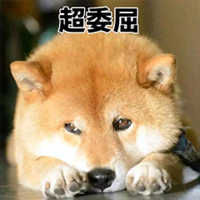 20221105085550_67829 20221105085550_67829