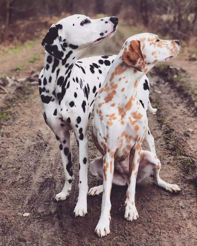 20221105085550_96083