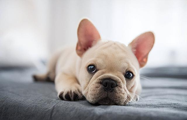 20221105090506_73011