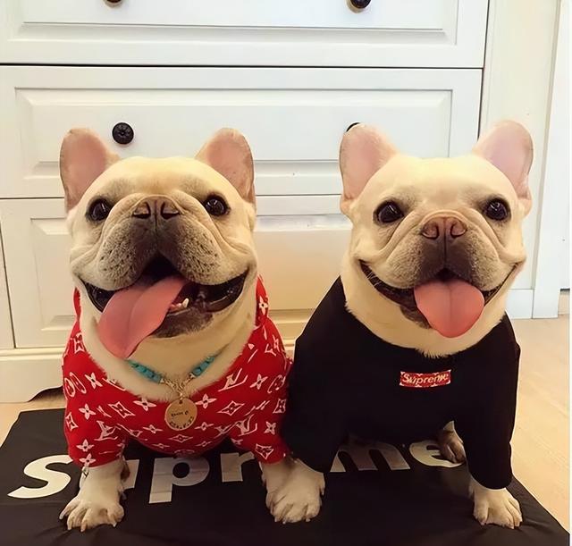 20221105090507_19657 20221105090507_19657