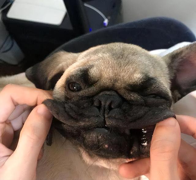 20221105090507_22358 20221105090507_22358