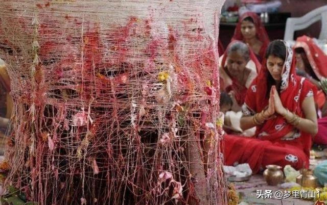 印度有关狗的 *** (印度一个狗复仇的 *** ) - 警犬训练器材厂家 _警犬训练用品_工作犬训练用品-南京开久警犬装备-警犬训练器材厂家 _警犬训练用品_工作犬训练用品-南京开久警犬装备