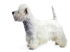 20221105100455_27843