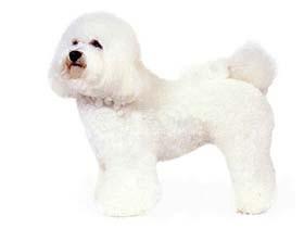 20221105100455_61536