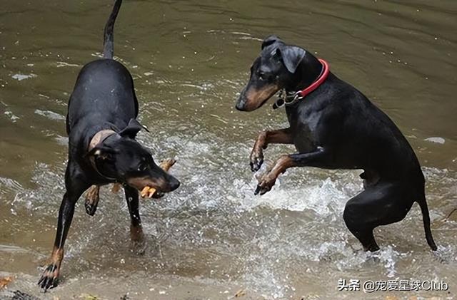 20221105100915_20755 20221105100915_20755