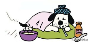 小狗翻肠子怎么回事萌宠(三个月的小狗翻肠子是怎么回事)-警犬训练器材厂家 _警犬训练用品_工作犬训练用品-南京开久警犬装备