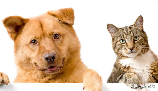 20221105111837_20124 20221105111837_20124