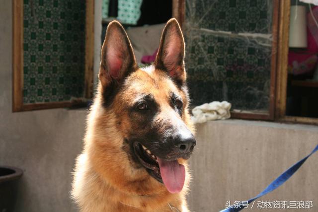 20221105112746_35983 20221105112746_35983