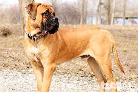 20221105114857_93497 20221105114857_93497