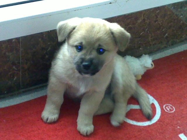 20221105114924_43473