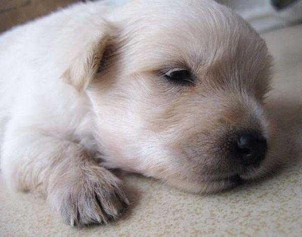 20221105114924_85389