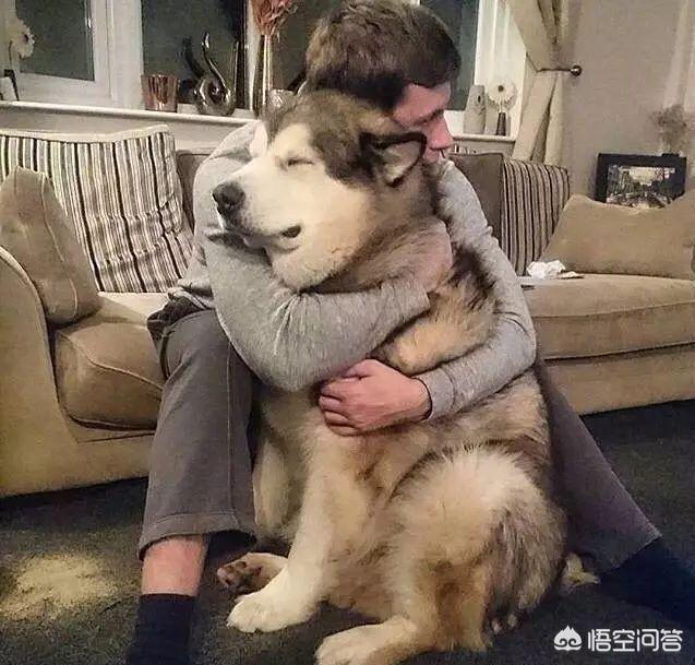 20221105120039_34100